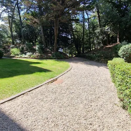 Les Ecureuils * La Baule
